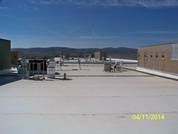 Commercial TPO Roof